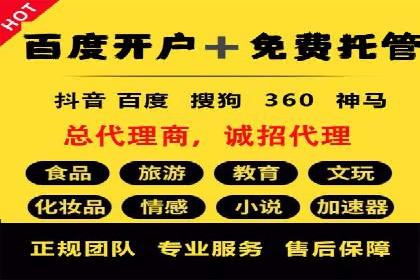 百度广告竞价策略解析与应用案例